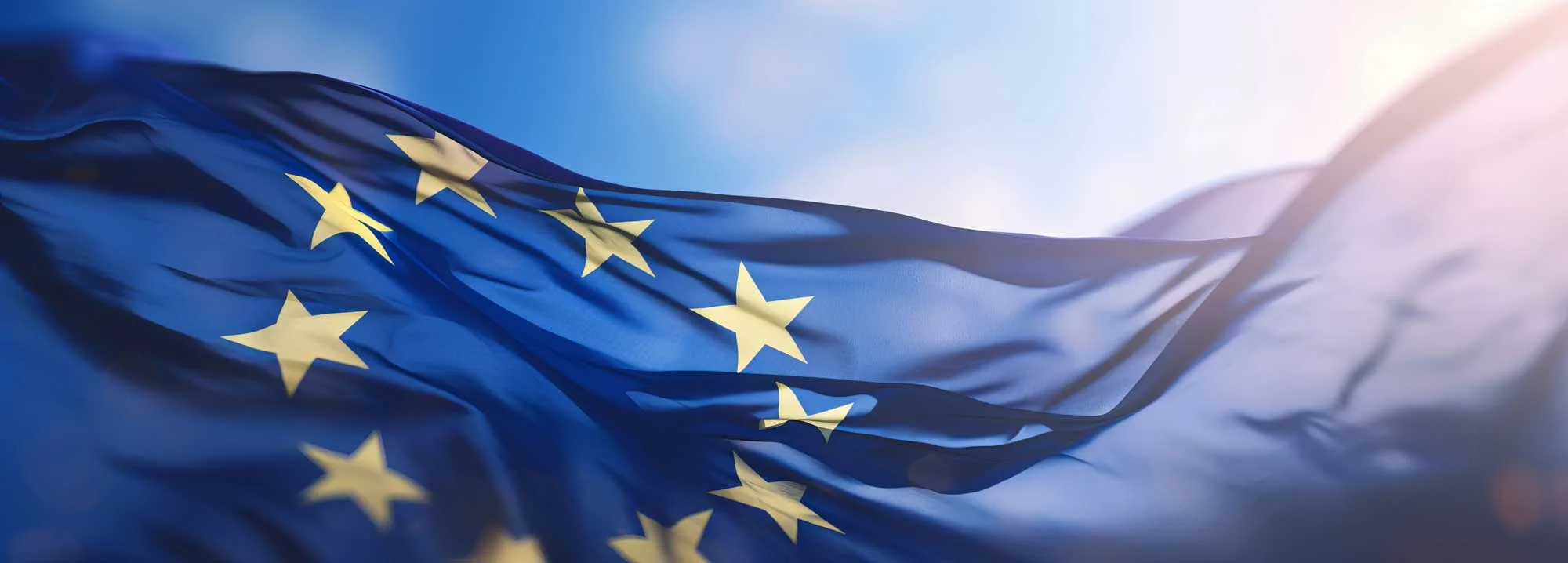 Expertise-comptable spécialisée dans l'import export